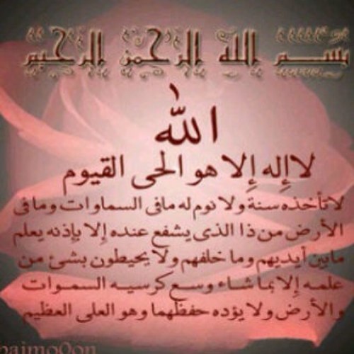 hamdoonalrshdi's profile picture. 