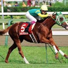 競馬が好きで、毎週欠かさず見てます。馬券購入はたまに・・・です！サイレンススズカの毎日王冠が大好きです！競馬予想もツイートします～。競馬好きの方フォローお願いします！！