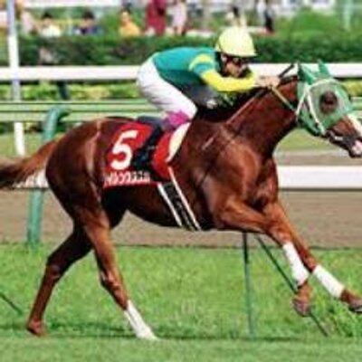 サイレンススズカの逃げ おもしろい名前の競走馬 リボンノキシ 馬主 森岡一郎 成績 27戦4勝