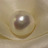 Ebraham2013's profile image