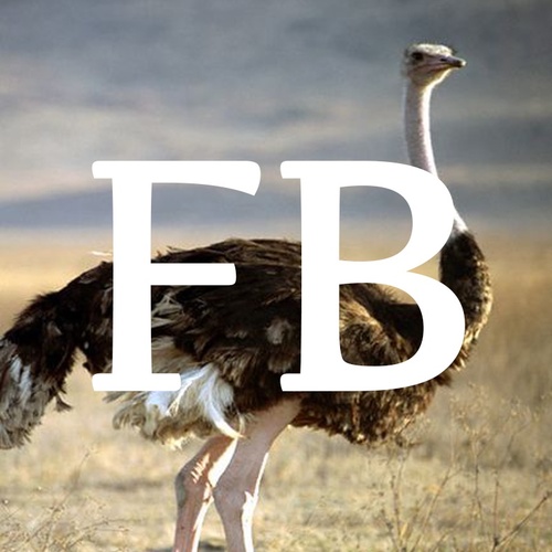 FronkyBoys's profile picture. We make videos. We like Fish Tacos.