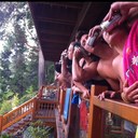 Stu Mills - @millsy4 - Twitter