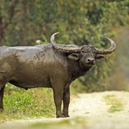 nyadowaa's profile picture. 