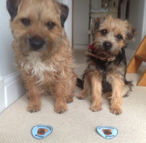 We are Hugo (nov2010) and Dotty (july2012) we live with our family in Banstead, we were both born at Cidermill. We love life! Our mum is @BeautyMeSurrey