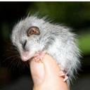 Jen DeLeon - @mauiturlock - Twitter