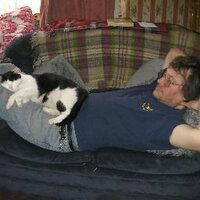 Forest Jackson (@forestfromcov) 's Twitter Profile