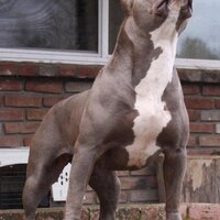 serkan A (@serkana13) Twitter profile photo