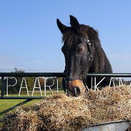Al meer dan 50 jaar rusthuis voor oude paarden en pony's. 
Dagelijks geopend van 10 - 16 uur. Gratis toegang