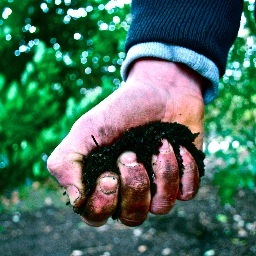 DNA_KP2013's profile picture. A group of teenagers accidentally kill a classmate. But organising the cover-up isn't child's play. A jet black comedy from Dennis Kelly. 11th-17th Aug @ 17.50