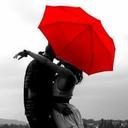 Francesca Reese - @fran_reese - Twitter