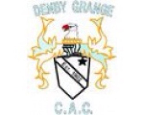 Denby Grange Cricket Club runs two teams in the Huddersfield Central Cricket League and Under 9's. Fancy a game, new players welcome? #oneclubonebrandonevillage