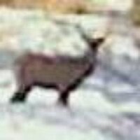 juris dakša (@dd_juris) 's Twitter Profile