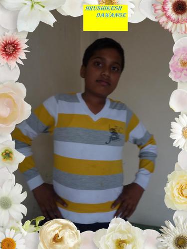 hrushikeshlumix's profile picture. I like cricket to play I can play it well.