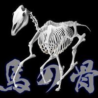 🍆AKI-NASU🍆時々ハンターたまに褪せ人 (@lumiere00) 's Twitter Profile