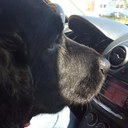 Joseph bednarz - @jbednarz2 - Twitter