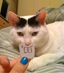 AnimalHumorr's profile picture. dieren zijn gaar