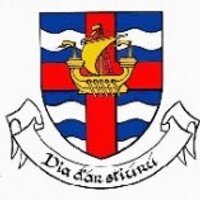 LoughreaHurlingClub (@loughreahurling) 's Twitter Profile