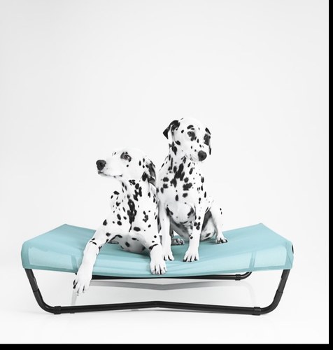 Dogtired the ultimate dog bed designed for you and your dog.