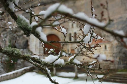 nanne82's profile picture. 