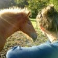 EQmassage's profile picture. --  Registered Equine Massage Therapist   -   Journalist   -   Blogger   --            Horses make us better people, and the world a better place.