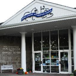 The mission of the Southampton Animal Shelter Foundation is to provide for the welfare of animals and reduce the number of homeless pets.