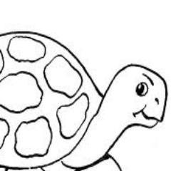THI is a FREE service to all Tortoise and Turtle owners throughout Ireland. THI can offer you 40 years experience. Email  tortoiseireland @gmail.com