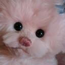 Pat Cathey - @hayseedbears - Twitter