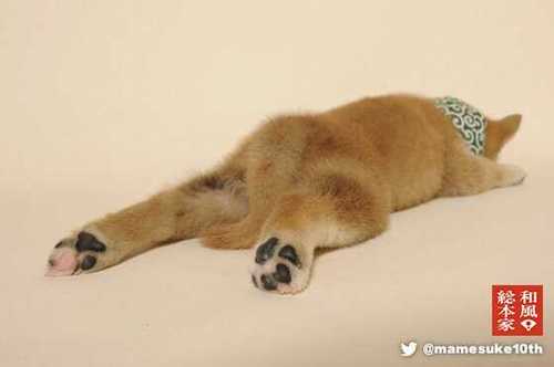 akokkokkom's profile picture. 