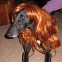 Abbey Normal - @AbbeyNormal00 - Twitter