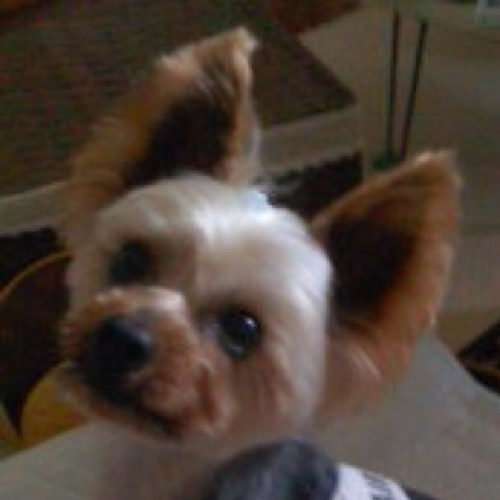 tabi_koujin's profile picture. 茨城生まれのKOUJINN（旅人）。中国語を勉強して、6年目。間違いが多いかもですが、批判は不用。指導は欢迎。我学了六年汉语了。以后请多指教。用汉语说的是关于茨城县，旅行，学中文和工作办法等等。 / #ドイツ16夏 #アベドン旅 #ロード雨乞い16夏 #ああ野麦峠16春