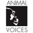 Animal Voices
