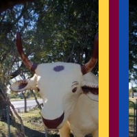 BananaBull03's profile picture. I am a Physics and Maths teacher working in Singapore.  Brisbane Lions supporter and weather nut.  Banana Bullock does exist (well, did exist)!