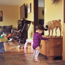 Anne Colwell - @anneecolwell - Twitter