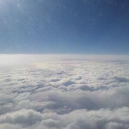 joselitroC's profile picture. 