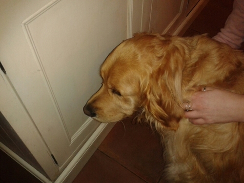 Scrumpy158's profile picture. 