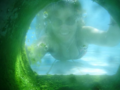 bskozer's profile picture. Basak