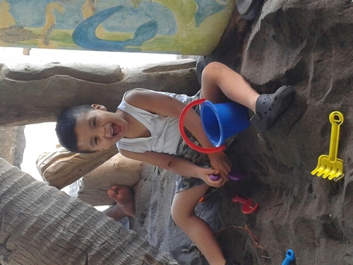 VLLandaverde's profile picture. 