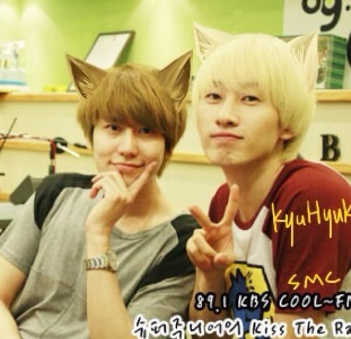 เจ้าชายหมาป่าคนเดิม แอคเก่าโดนบล๊อคครับ (: My love @ocbTh_hyukjae❤