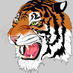 Official JohnstonFC (@fc_johnston) Twitter profile photo Official JohnstonFC (@fc_johnston) Twitter profile photo