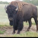 Richard Lindquist - @oldlefty1 - Twitter