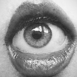 VanillaCrash's profile picture. mother. wife. 💪🗣️👩‍👩‍👧‍👦 for social change and a fairer world.