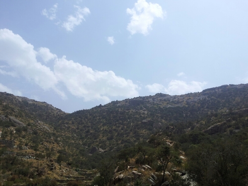 الفقير الى عفو ربه