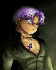 The names Trunks I'm from parallel universe son too Vegeta & Bulmas I'm stronger than Goku i have fought many evil I'm the heir of Capsule Corp.