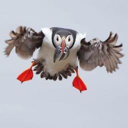 lonenor's profile picture. Architect. Designer. Jewellery maker. Mature mother of 2. Garden lover. Swimmer. Glaciers & volcanoes