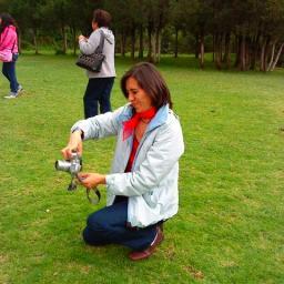 Nos dedicamos a las excursiones en grupo, deseamos que disfrutes un poco de nuestro México, visitamos Pueblos Mágicos, Zonas Arqueologicas, Playas, etc.