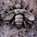 Brian DeWitt - @dewitt_brian - Twitter