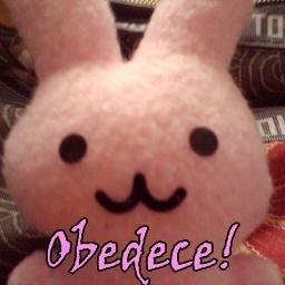 xtoshx's profile picture. i was an adventurer like you until i took an arrow to the knee _