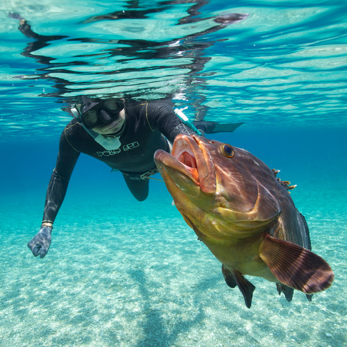 Uw cameraman, Freediver and constantly exploring the Greek sea bed