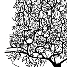 dyndays2013's profile picture. A major international conference with a long-standing tradition in nonlinear dynamics, this year hosted by the Center of Biomedical Technology, Madrid, Spain