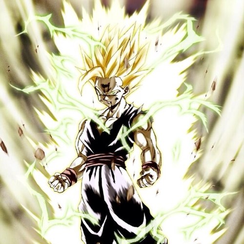 My father is Goku, my mother is Chi Chi, my brother is Goten and I killed Cell.         DBZRP